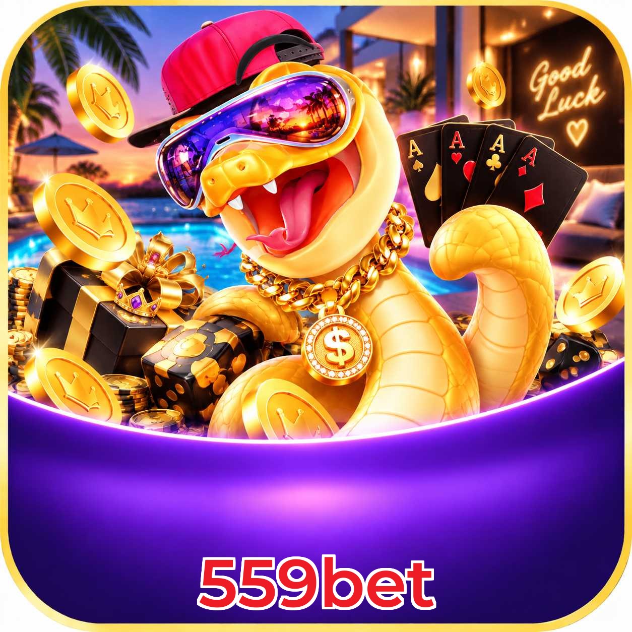 Grandes ganhos no cassino ao vivo da 559bet